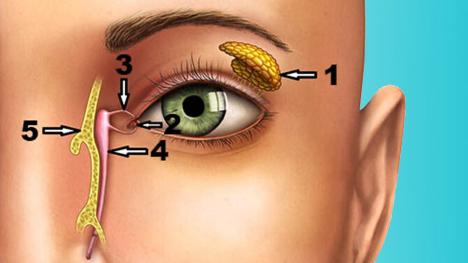 Δακρυοκυστορινοστομία